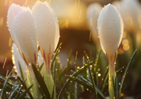 德塞利心目中的最佳11人，真是BIG胆，竟然无“公认”足坛第一人