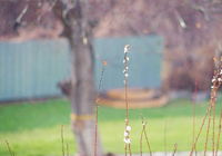 德塞利心目中的最佳11人，真是BIG胆，竟然无“公认”足坛第一人