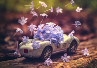 意甲媒体透露：米兰球员加沙里恢复的非常好，目前已经与队友一起开始跑步训练